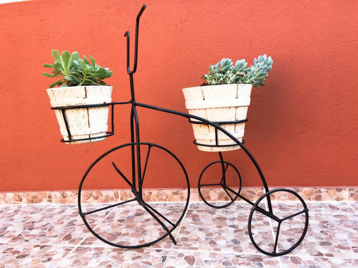 Lisboa Comfort Apartment Dış mekan fotoğraf
